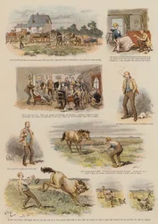 Beauté dans le Grand Nord-Ouest